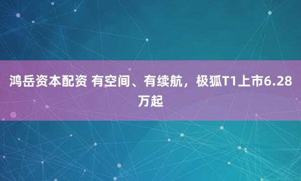 鸿岳资本配资 有空间、有续航，极狐T1上市6.28万起