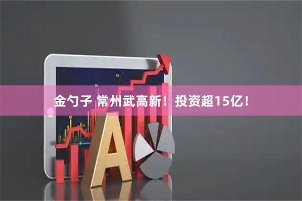 金勺子 常州武高新！投资超15亿！