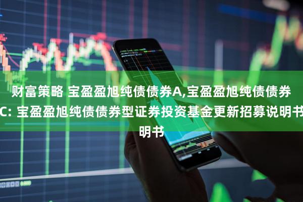 财富策略 宝盈盈旭纯债债券A,宝盈盈旭纯债债券C: 宝盈盈旭纯债债券型证券投资基金更新招募说明书