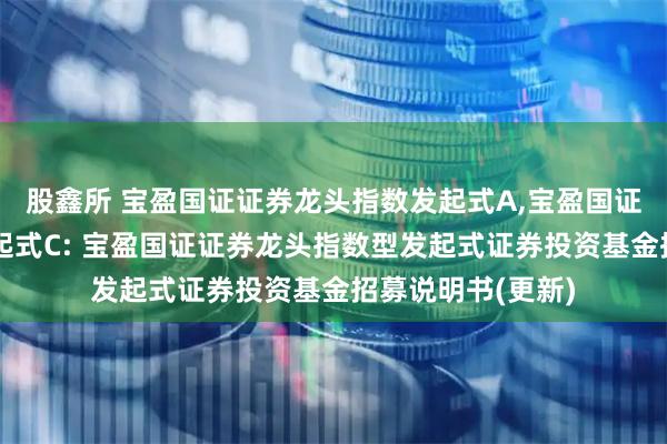 股鑫所 宝盈国证证券龙头指数发起式A,宝盈国证证券龙头指数发起式C: 宝盈国证证券龙头指数型发起式证券投资基金招募说明书(更新)