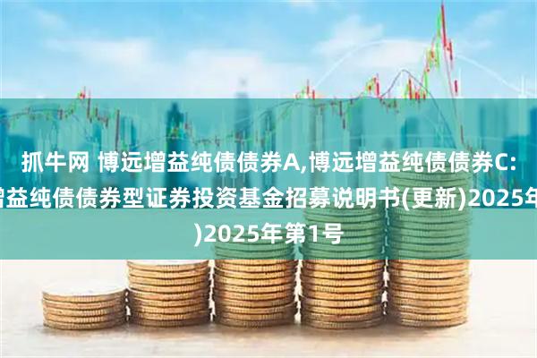 抓牛网 博远增益纯债债券A,博远增益纯债债券C: 博远增益纯债债券型证券投资基金招募说明书(更新)2025年第1号