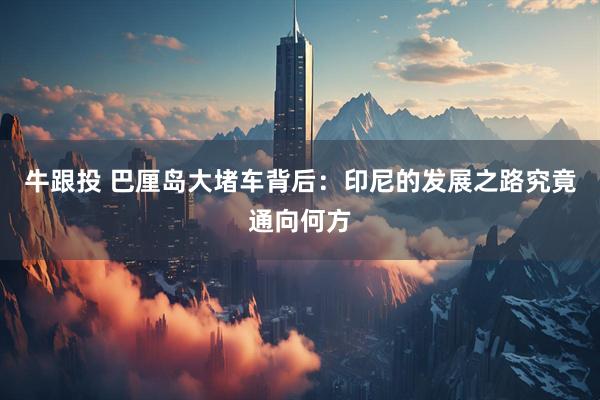牛跟投 巴厘岛大堵车背后：印尼的发展之路究竟通向何方