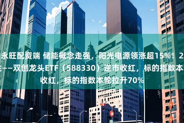 永旺配资端 储能概念走强，阳光电源领涨超15%！20CM高弹性——双创龙头ETF（588330）逆市收红，标的指数本轮拉升70%